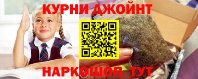 сатива Пушкино